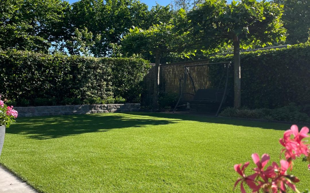 Royal Grass Bloom in Delden