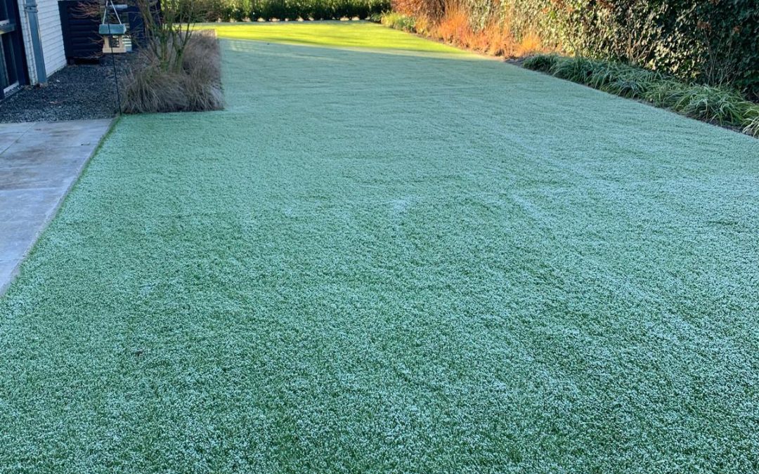 Winters kunstgras in Hengelo