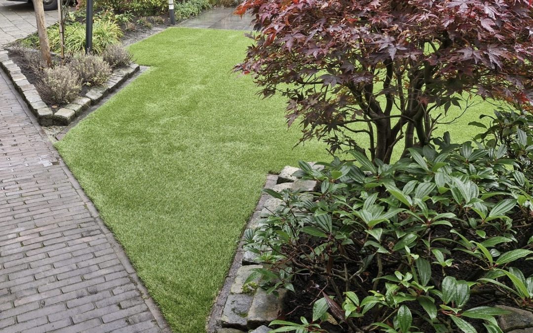 Royal Grass Bloom in Oldenzaal