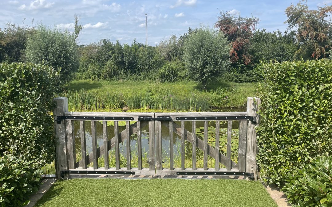 Royal Grass Sense in Haaksbergen